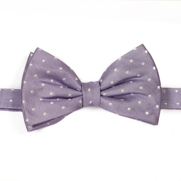 Warwicks Pre-Tied Polka Dot Bow Tie - Lilac