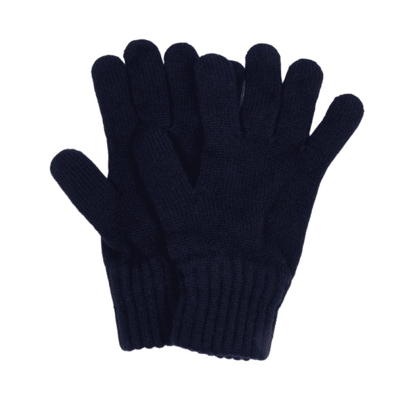 Barbour Lambswool Navy gloves