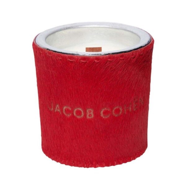 cohen candle single